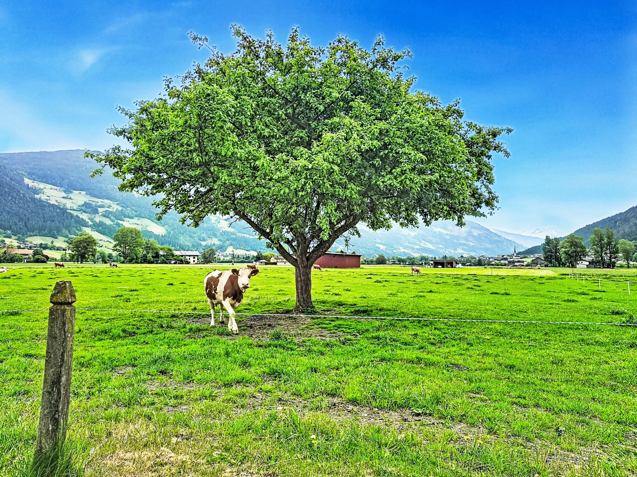 Schöflauerhof - Outside
