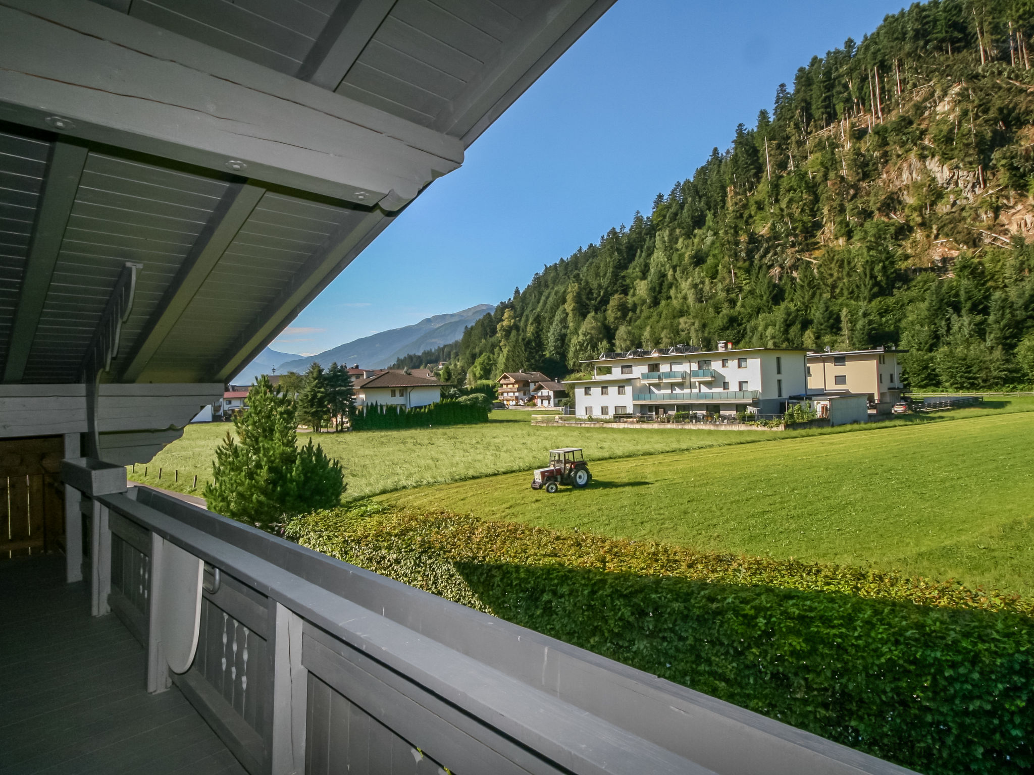 Photo of Der Pinsler