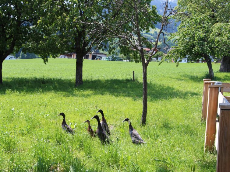 Photo of Gasteighof in Bruck im Zillertal Fügen