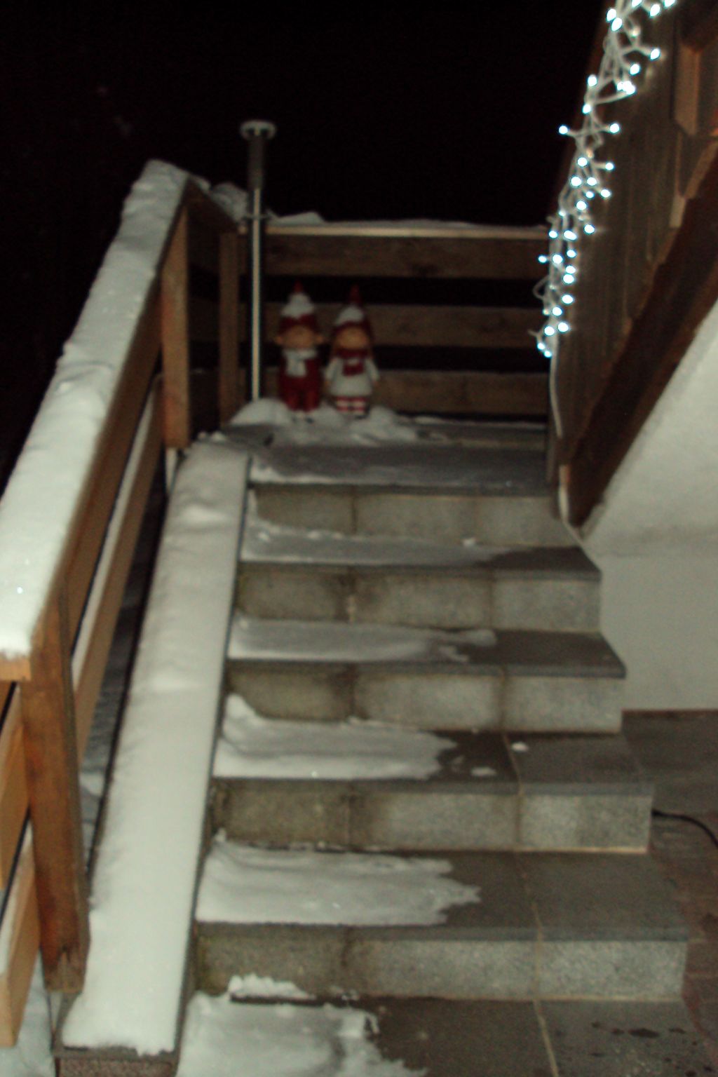 Haus der Natur-Binnen