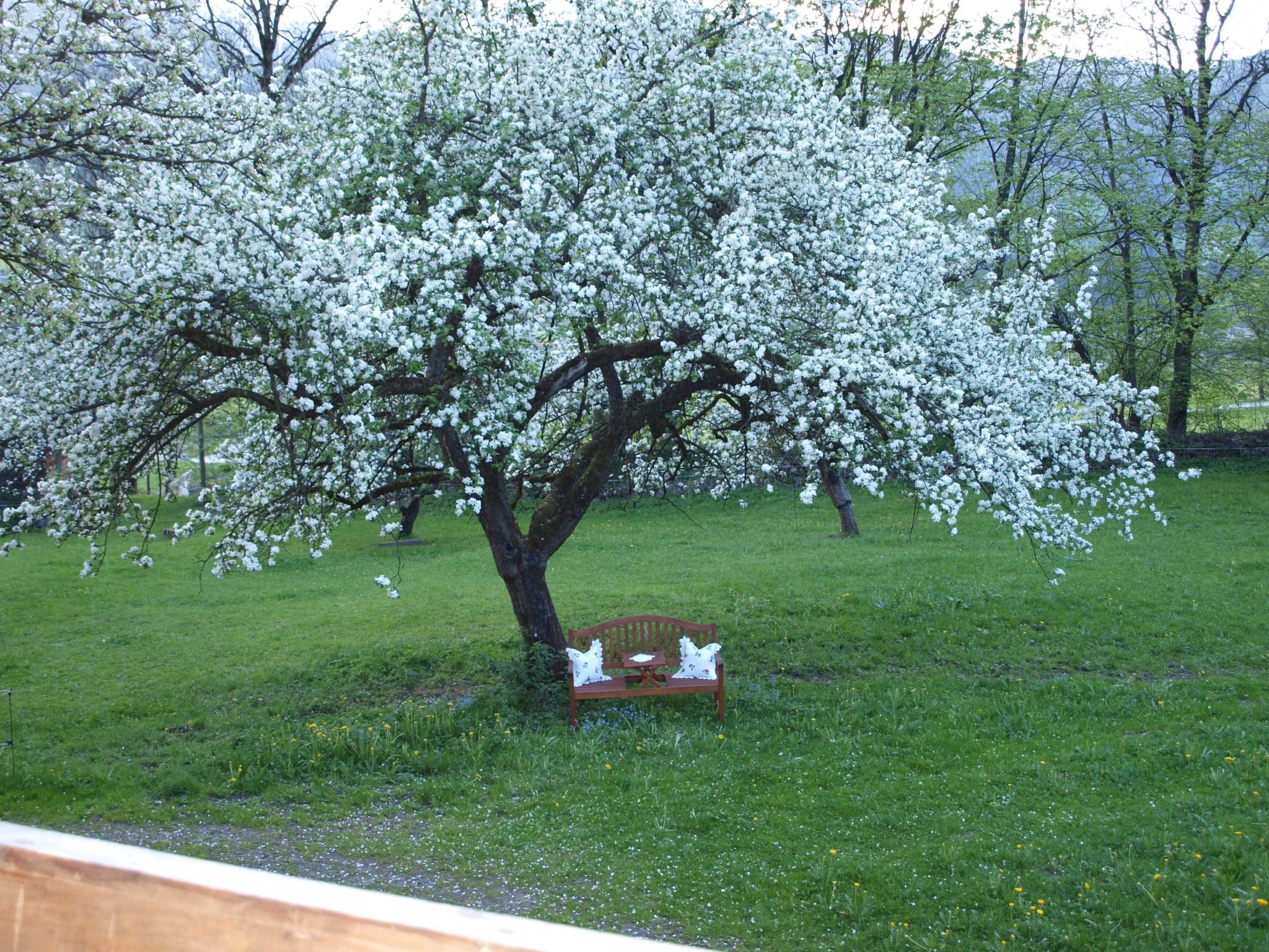 Haus der Natur-Binnen