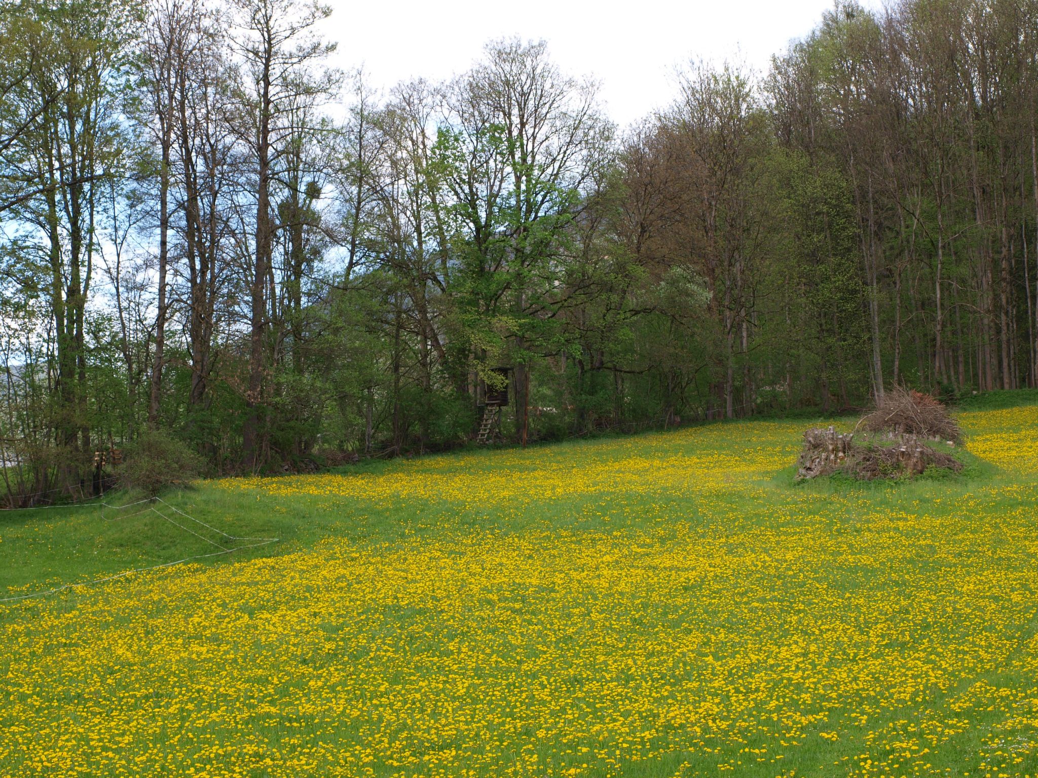 Haus der Natur-Binnen