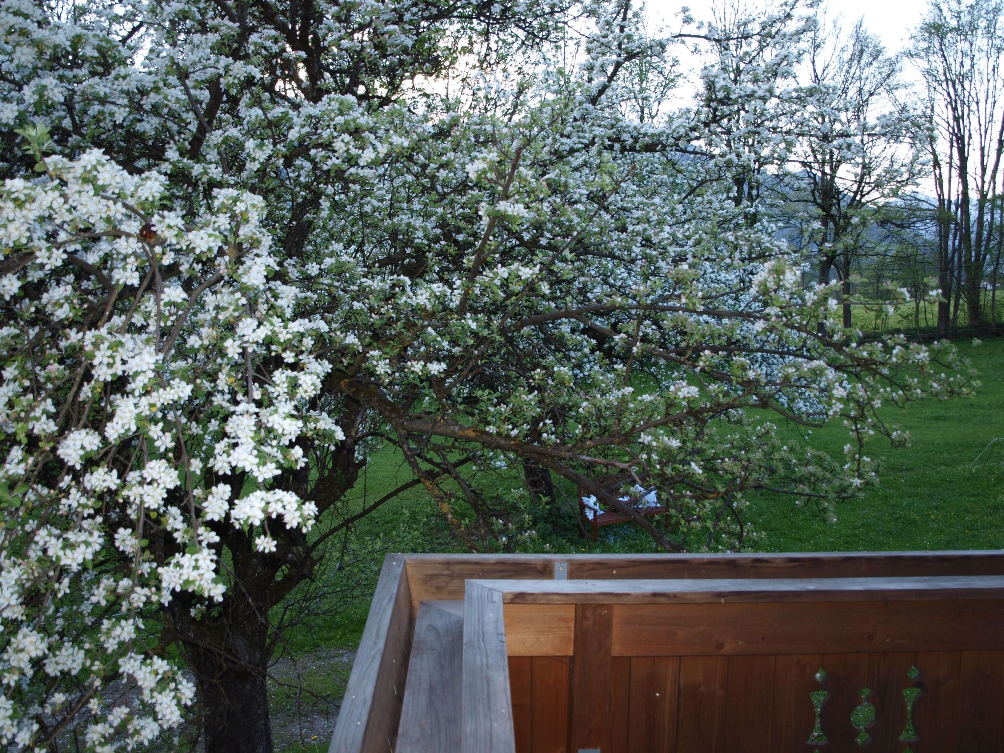 Haus der Natur-Binnen