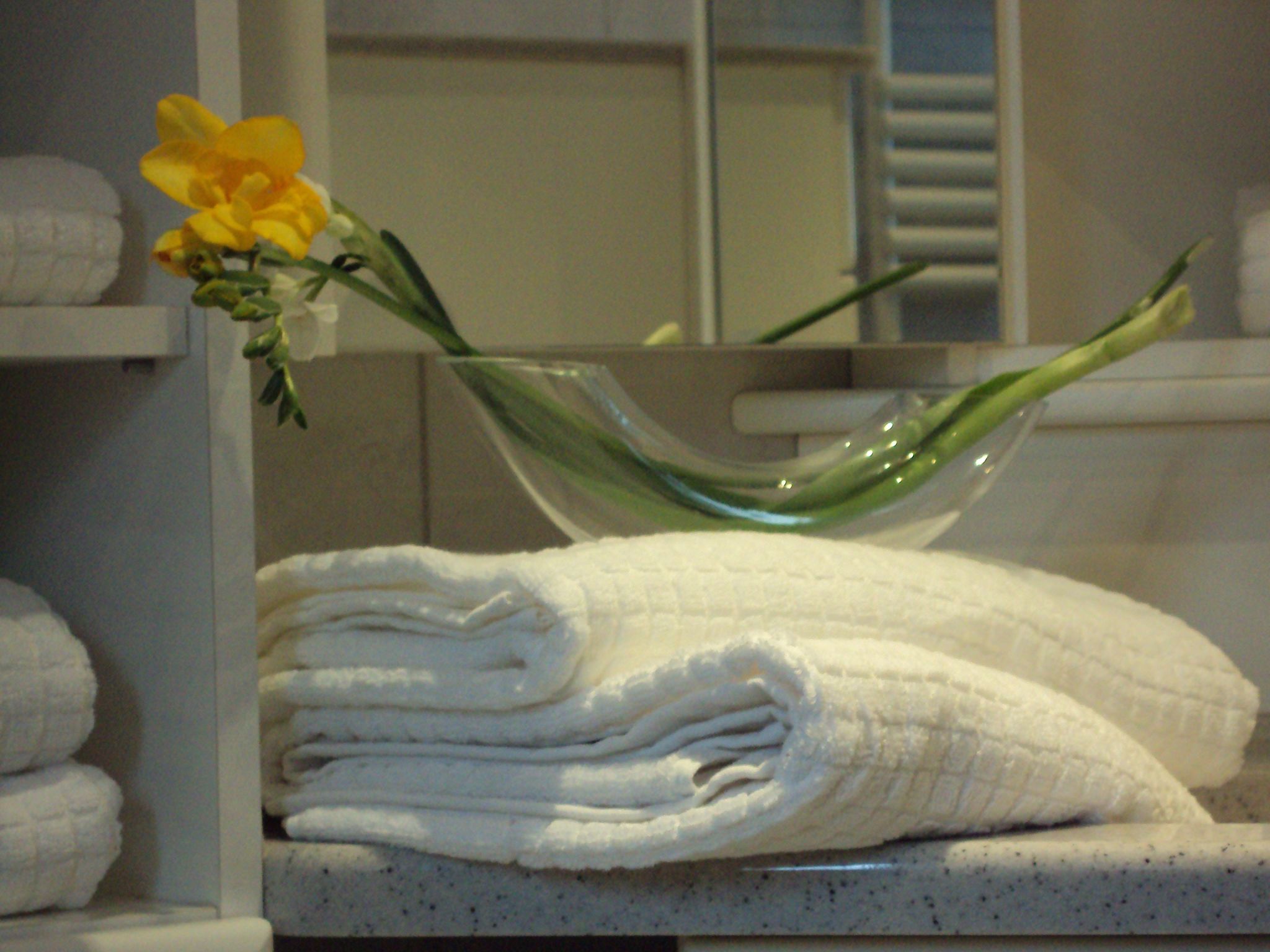 Haus der Natur-Binnen