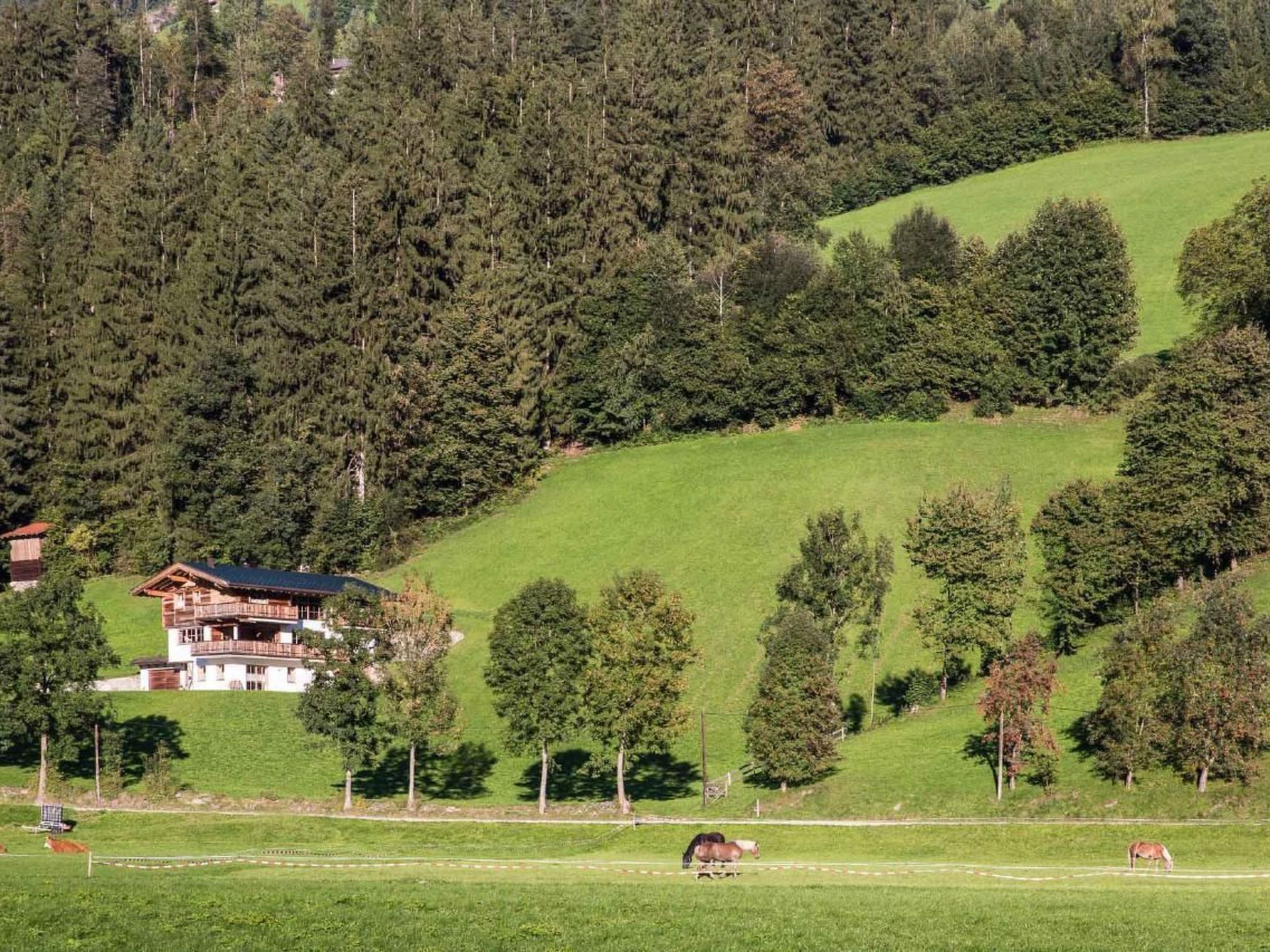 Photo of Sunny Hideaway