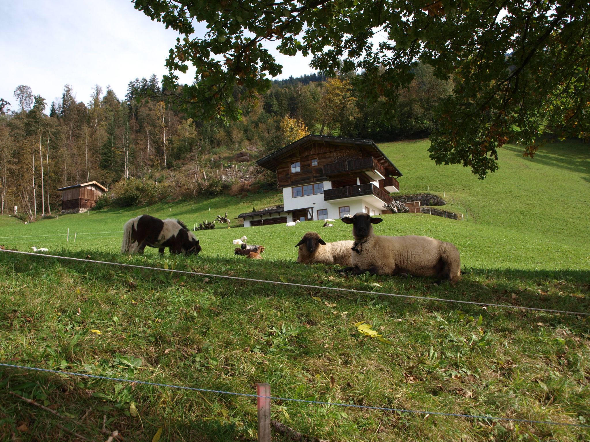 Photo of Sunny Hideaway