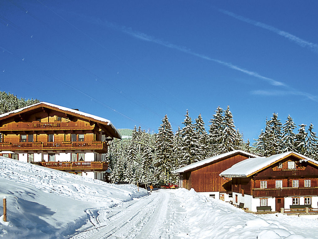 Ferienwohnung Luxner (KAB137) Ferienwohnung in Kaltenbach