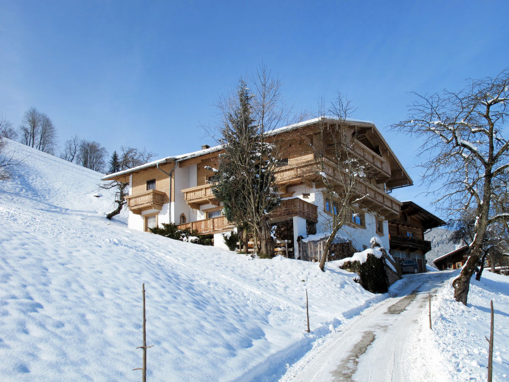 Ferienwohnung Gangerhof (KAB208) Ferienwohnung  Zillertal