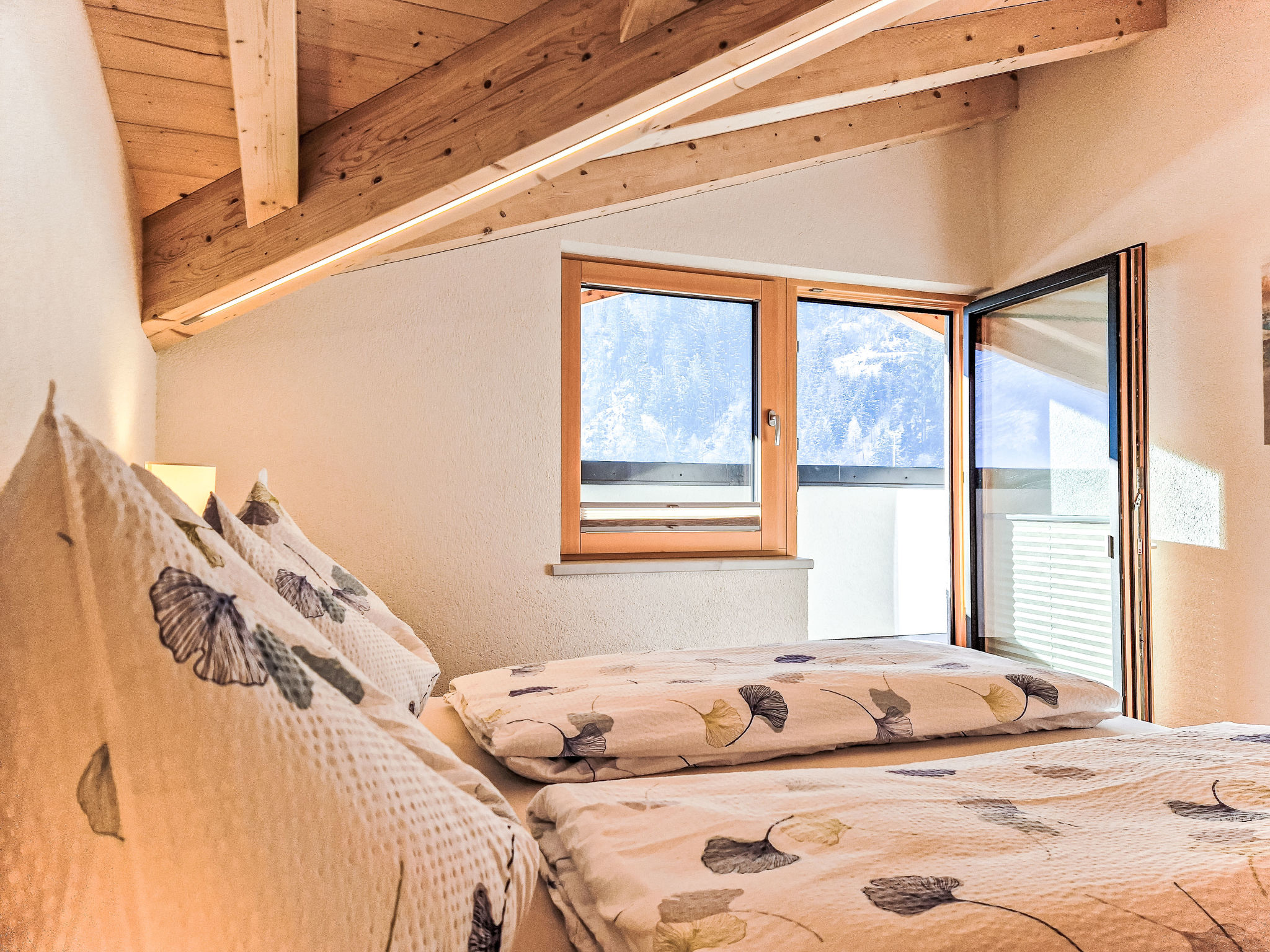 Zillertal Blick-Dedans