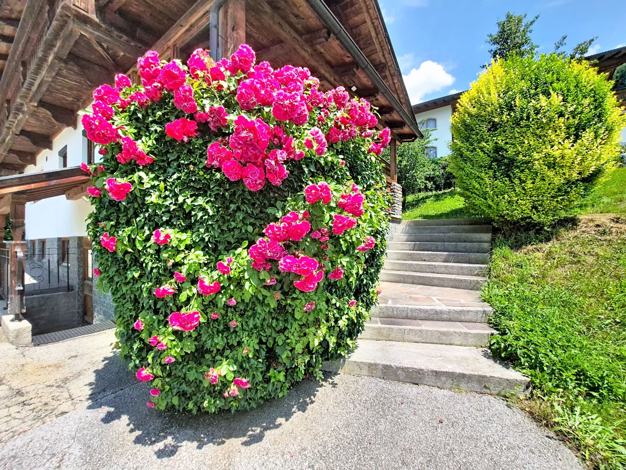 Ferienhaus Dinkl - Draußen