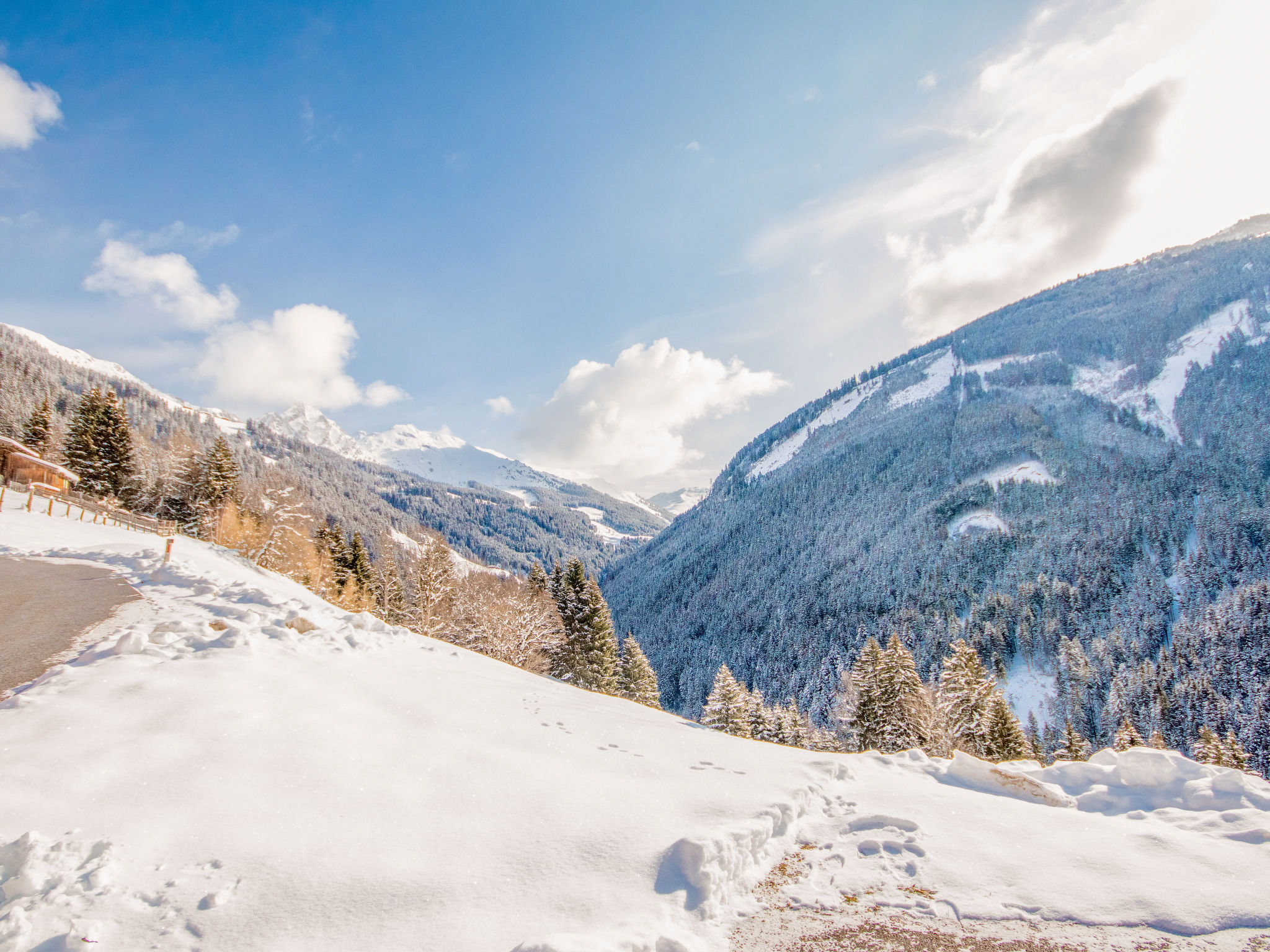Stummer Blick-Area