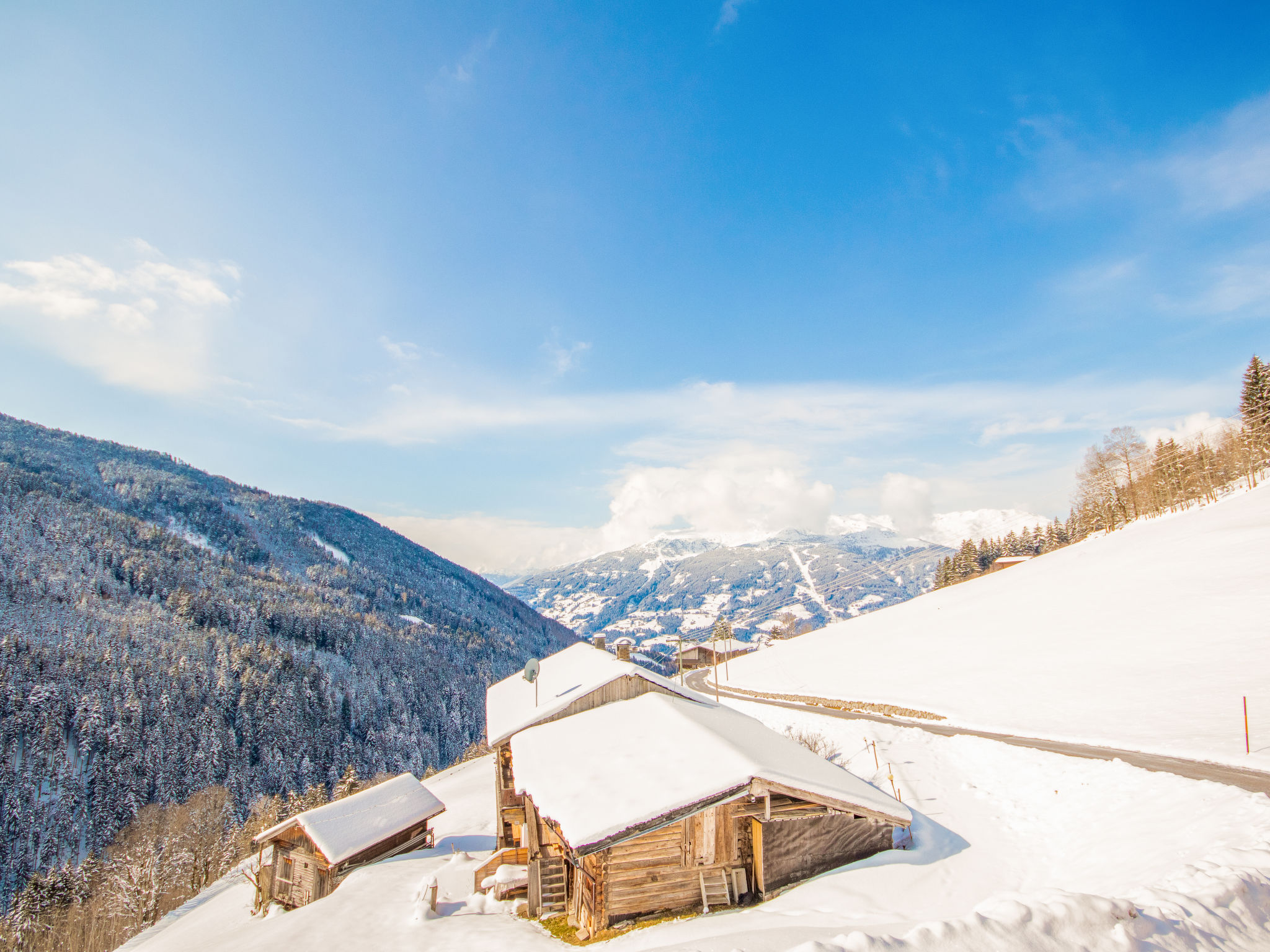 Stummer Blick-Area