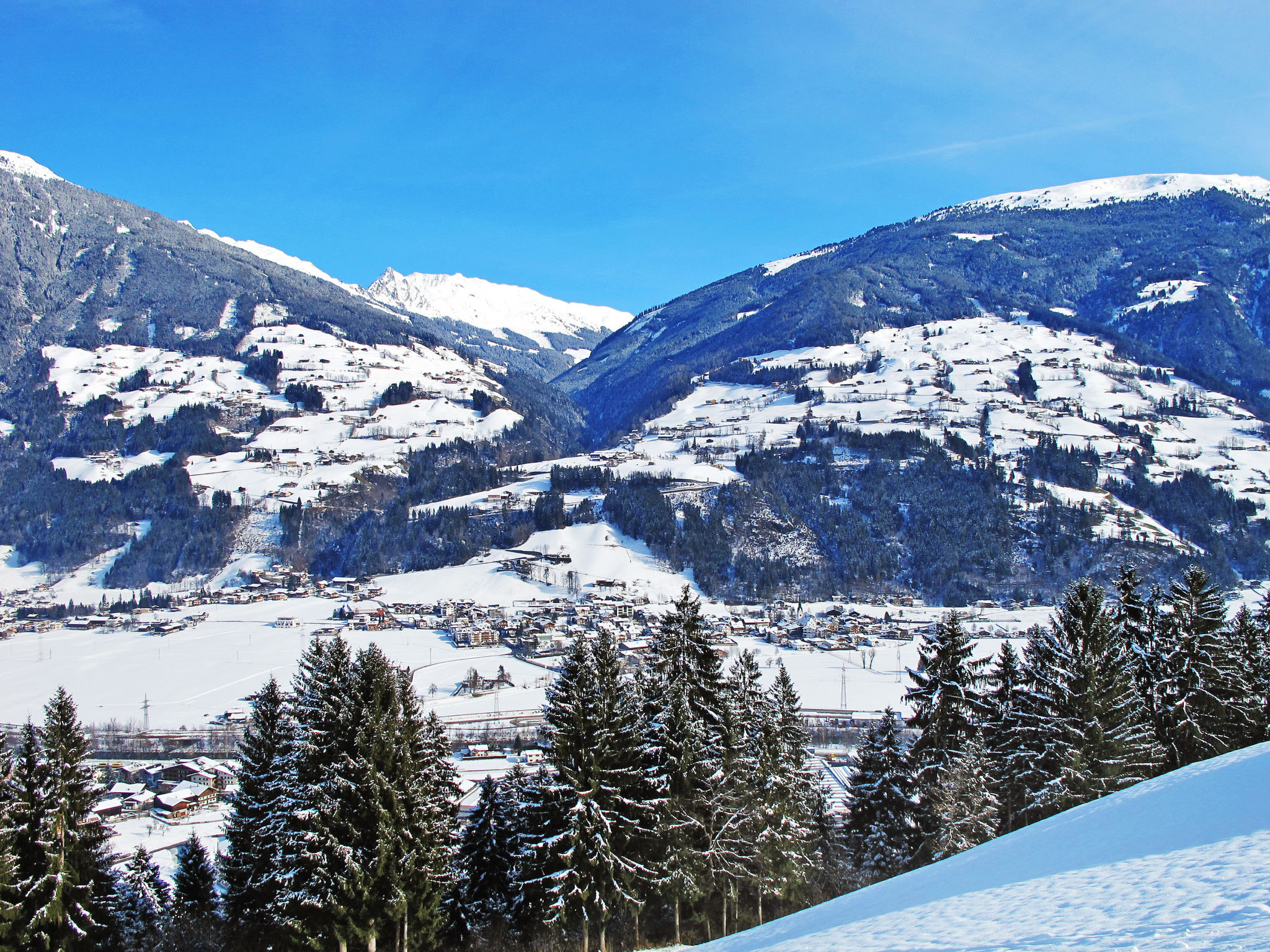 Stummer Blick-Area