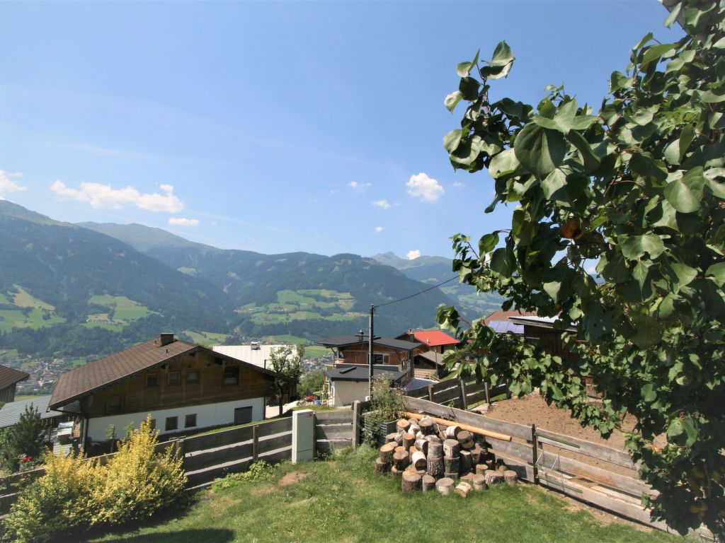 Bild 41