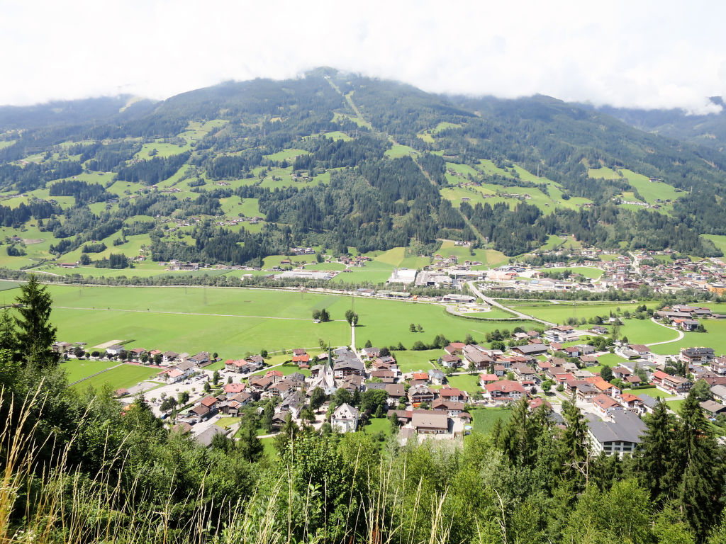 Bild 41