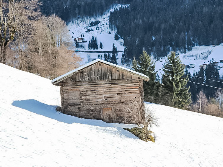 Alpin Apartment in Zell am Ziller