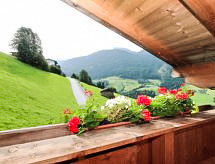 Appartement Alpin