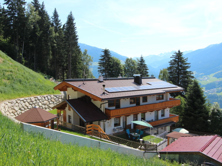 Anita Apartment in Zell am Ziller