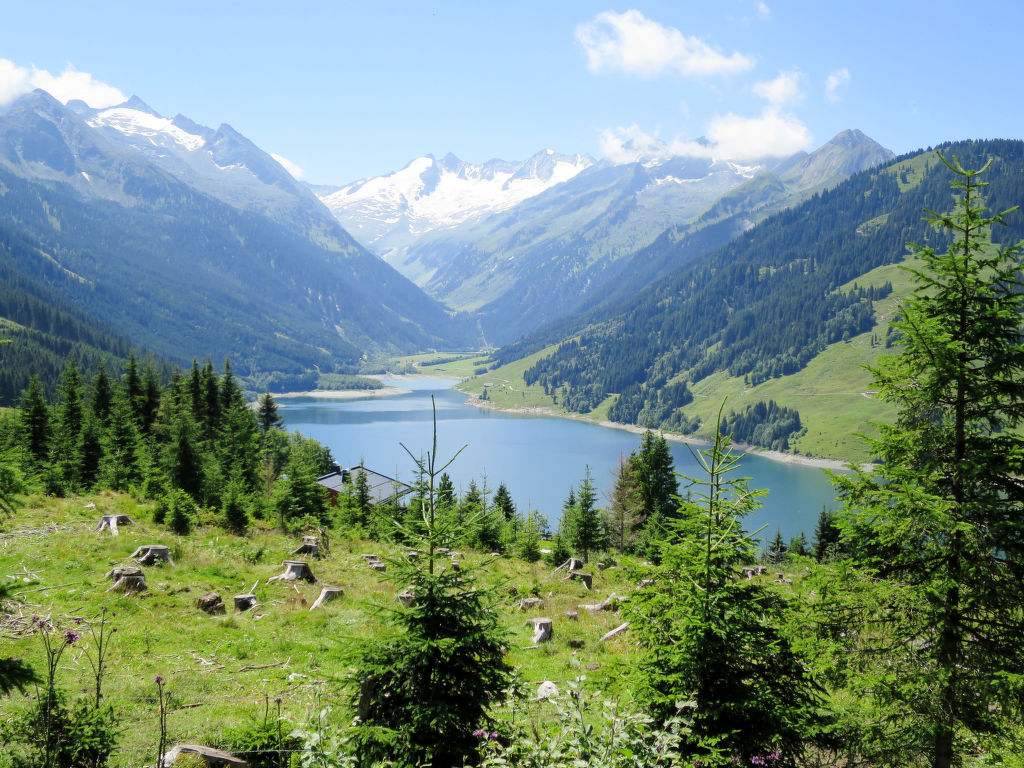 Bild 15