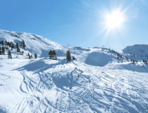 Appartamento Alpenblick