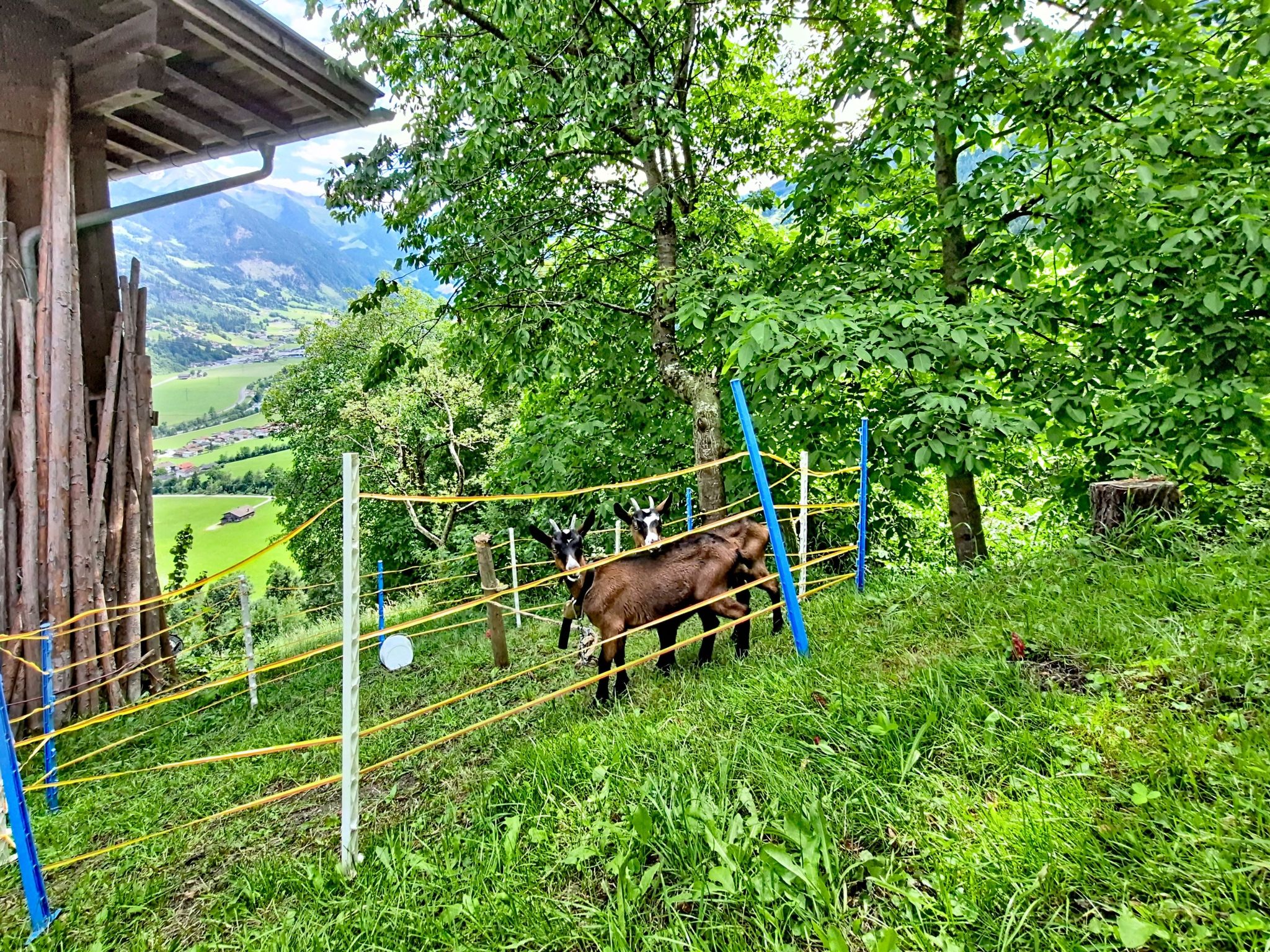 Photo of Brandnerhof