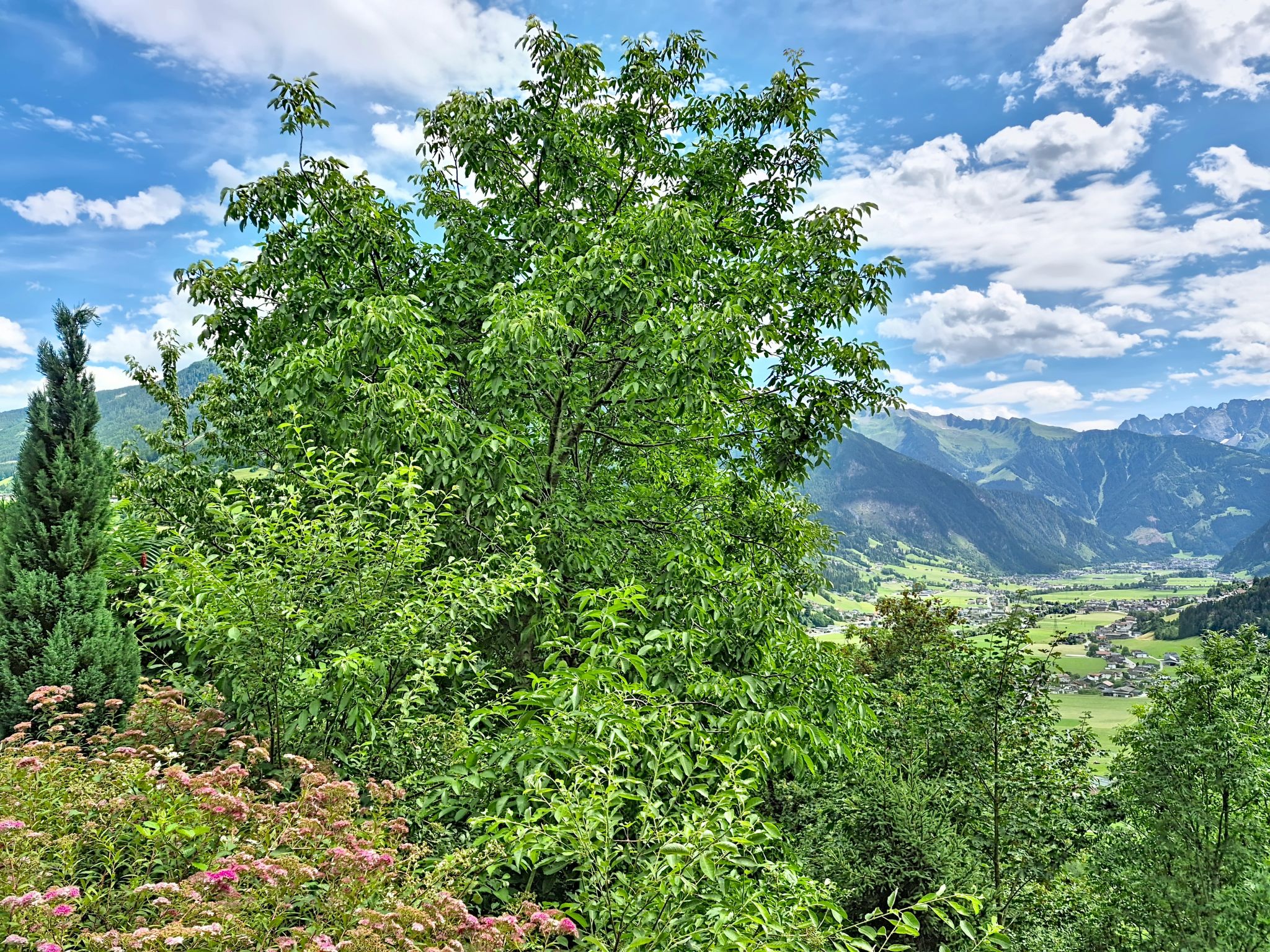 Photo of Brandnerhof