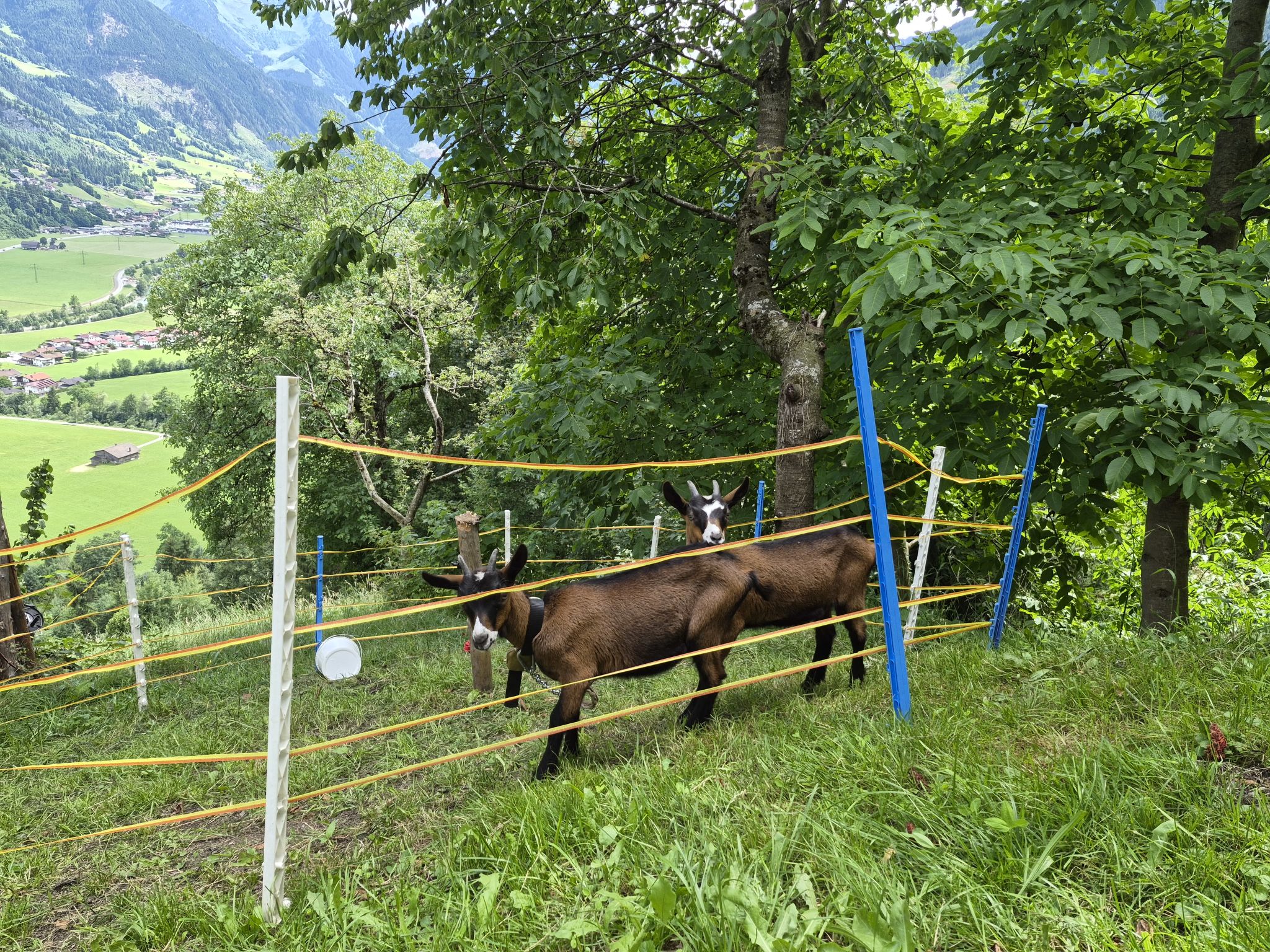 Photo of Brandnerhof