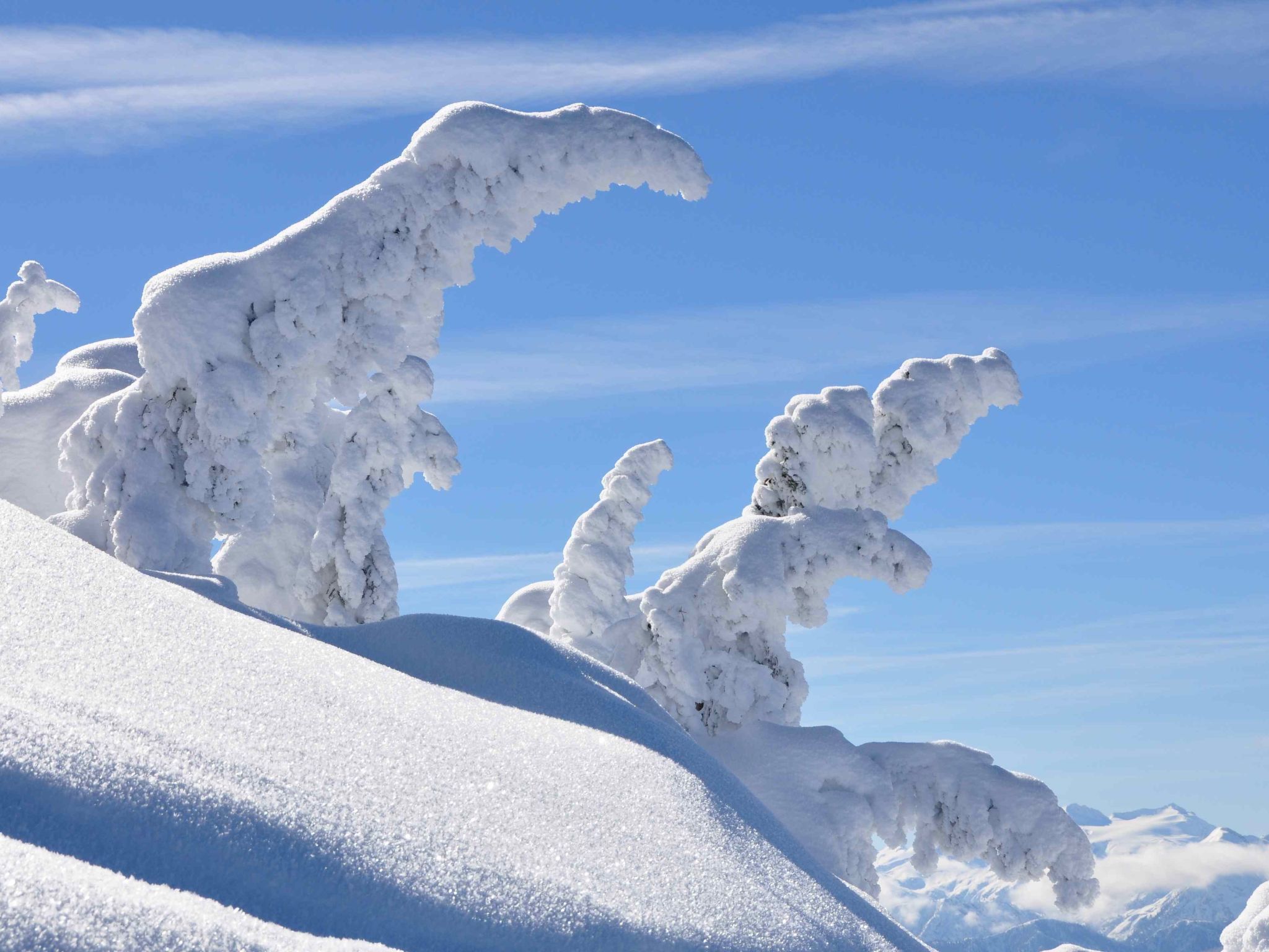 Photo of Appartement Almliebe