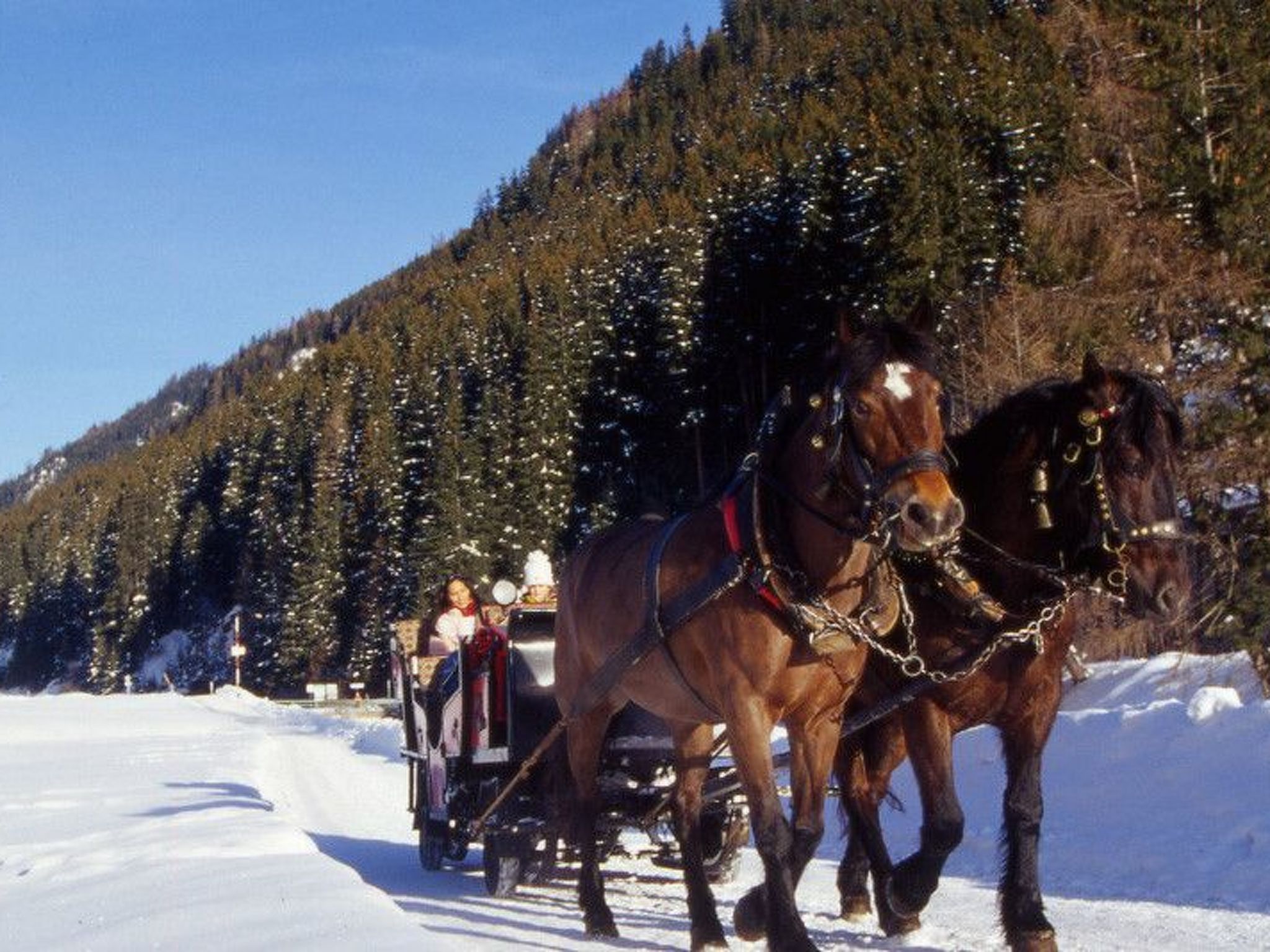 Photo of Appartement Gartenblick