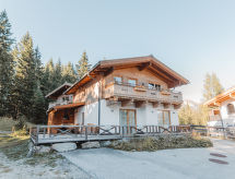 Ferienhaus Hochkrimml 2