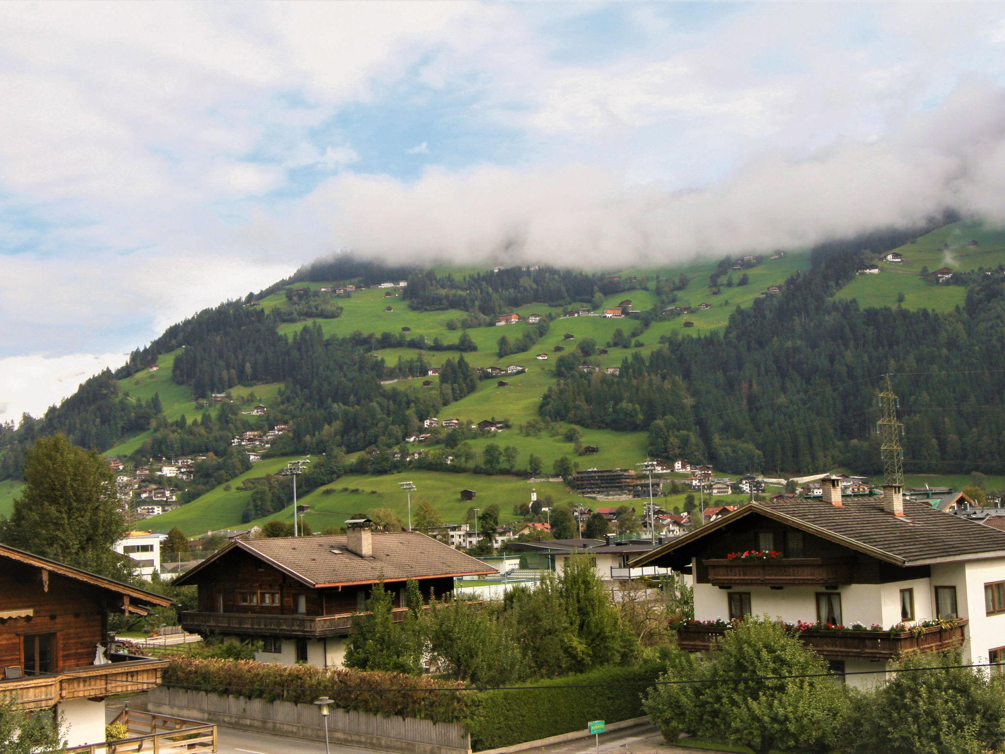 Photo of Franz