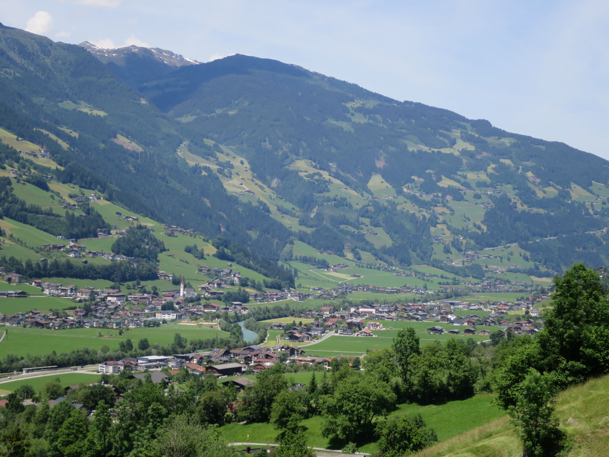 Trojer-Area