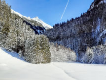 Appartamento Wandegg