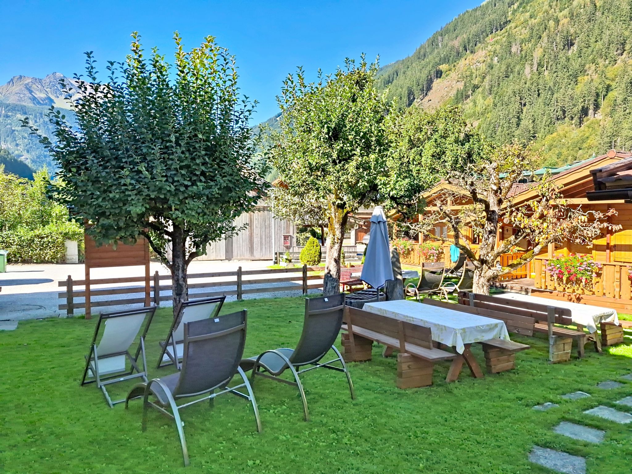 Photo of Edelweiß