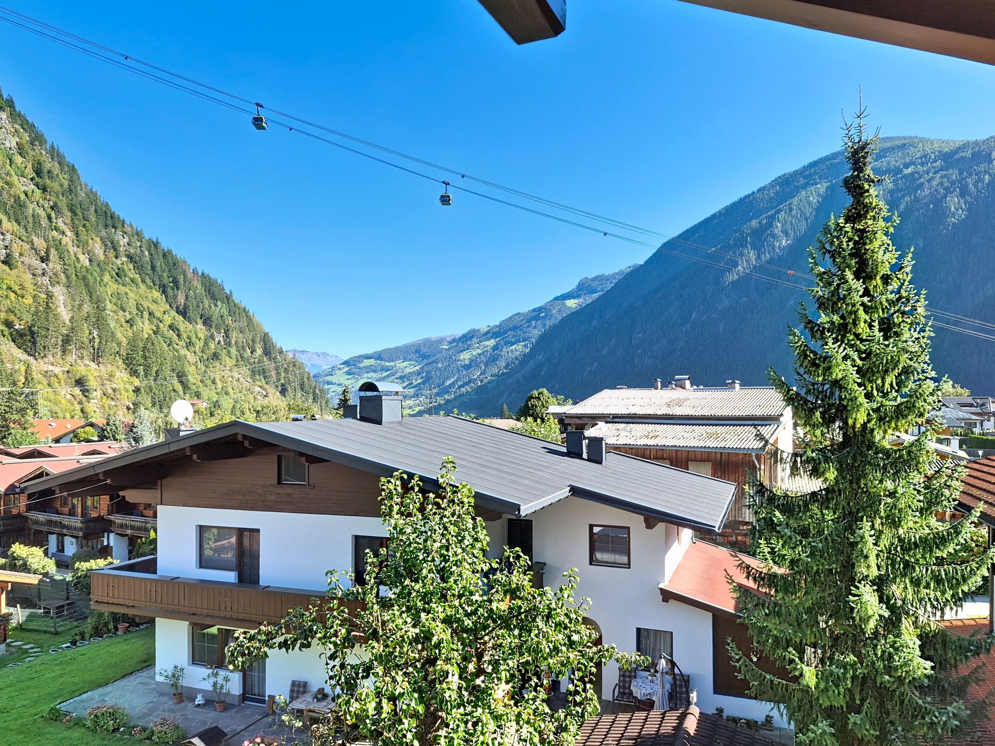 Photo of Edelweiß