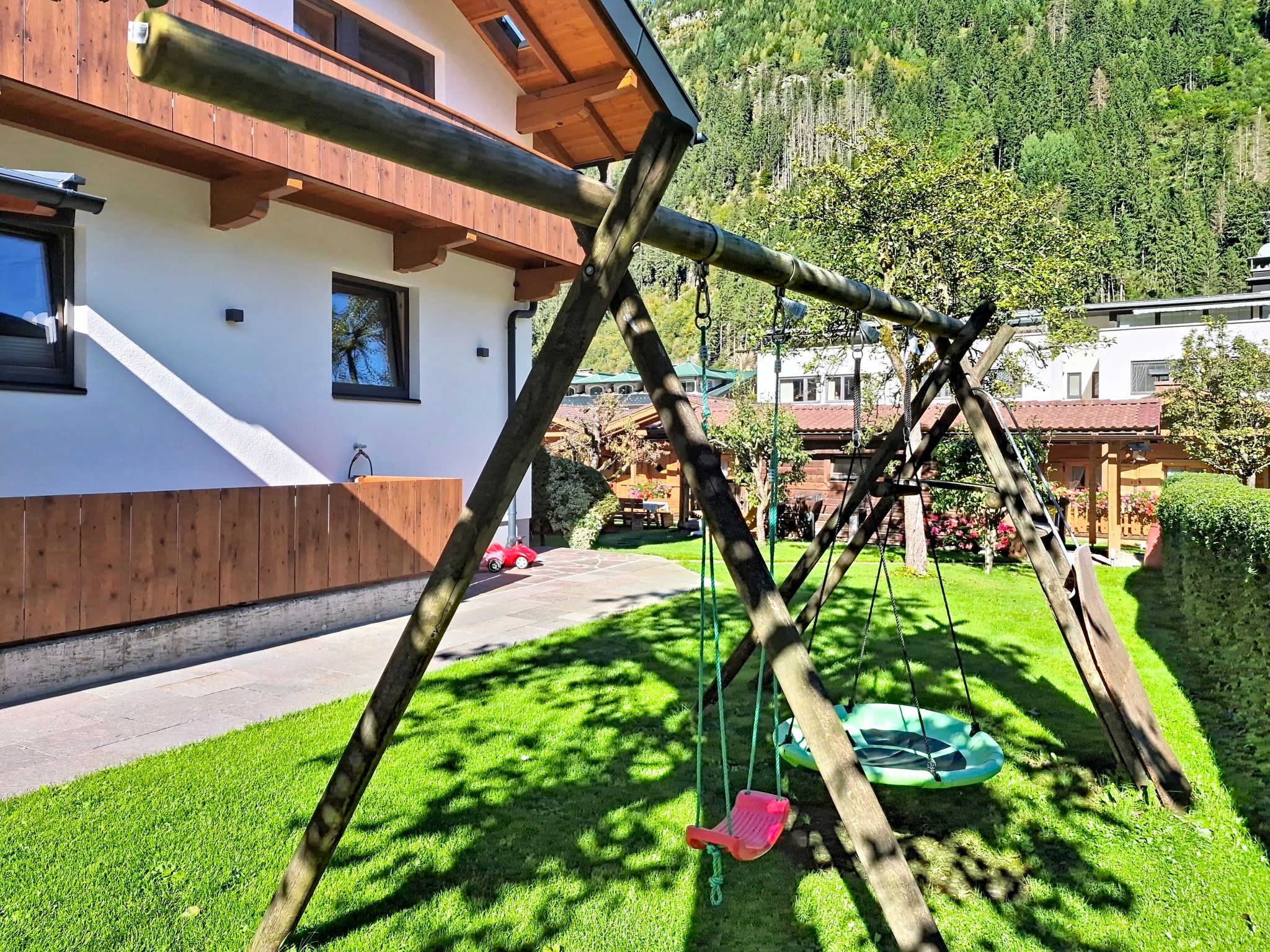 Photo of Edelweiß