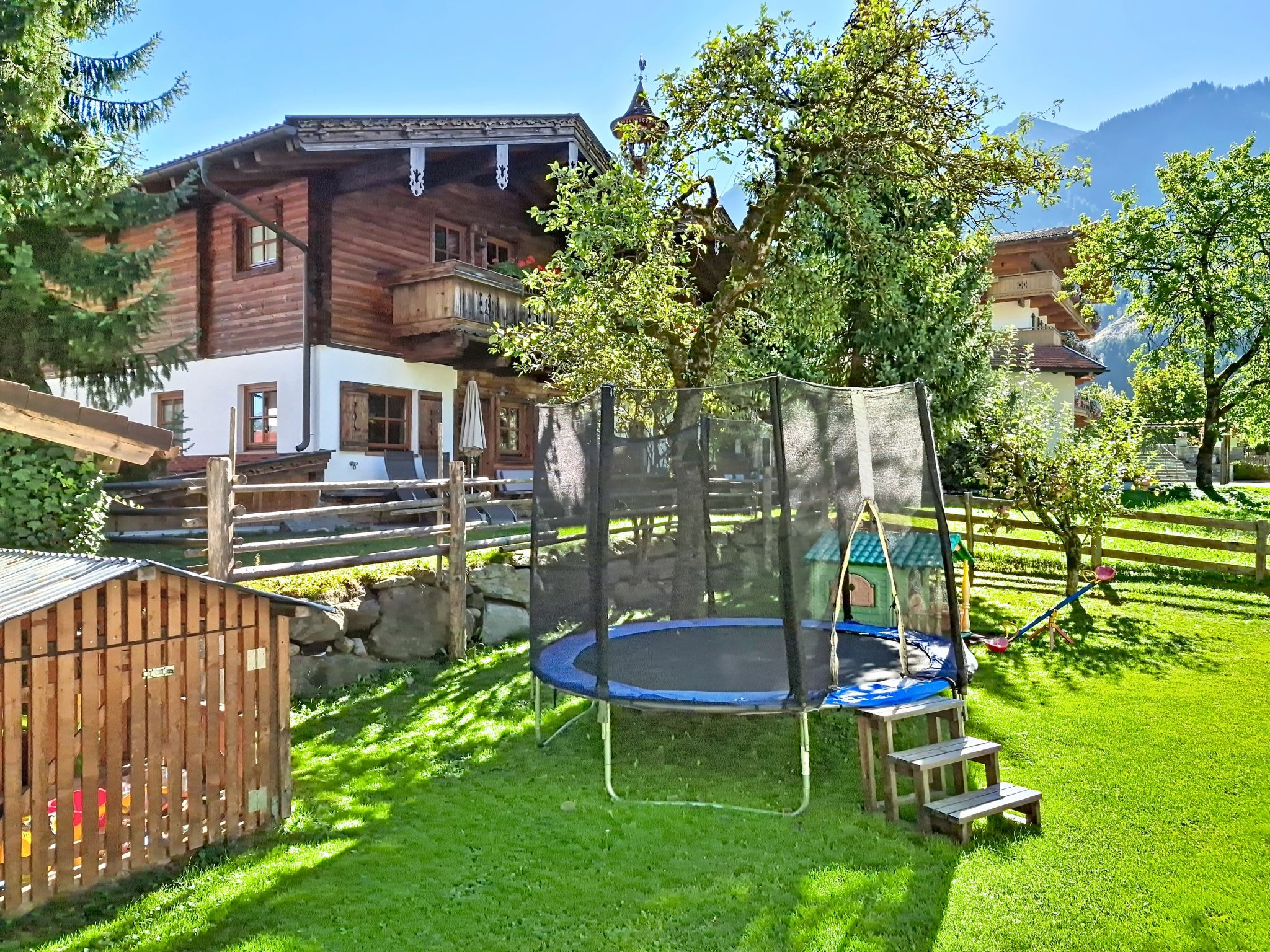 Photo of Edelweiß