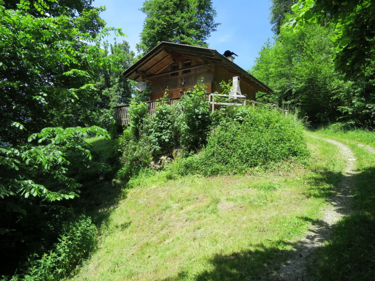 Jagdhütte Eberharter (MHO112) - 4