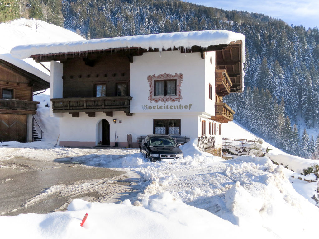 Ferienhaus Borleitenhof (MHO588) Ferienhaus in Österreich