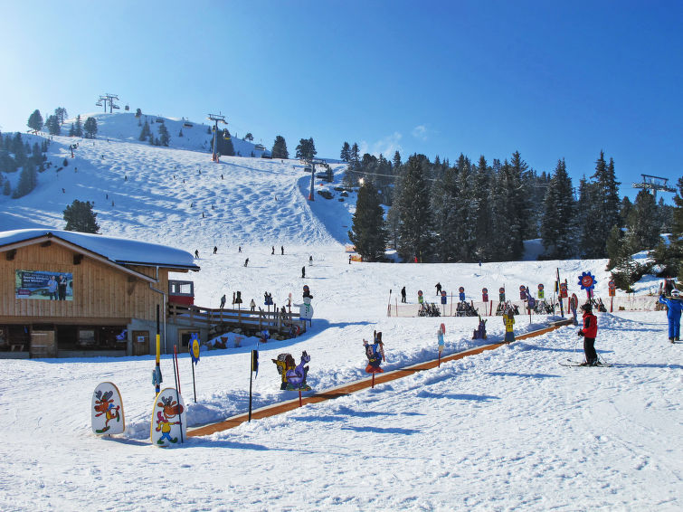 Photo of Geislerhütte (MHO685)