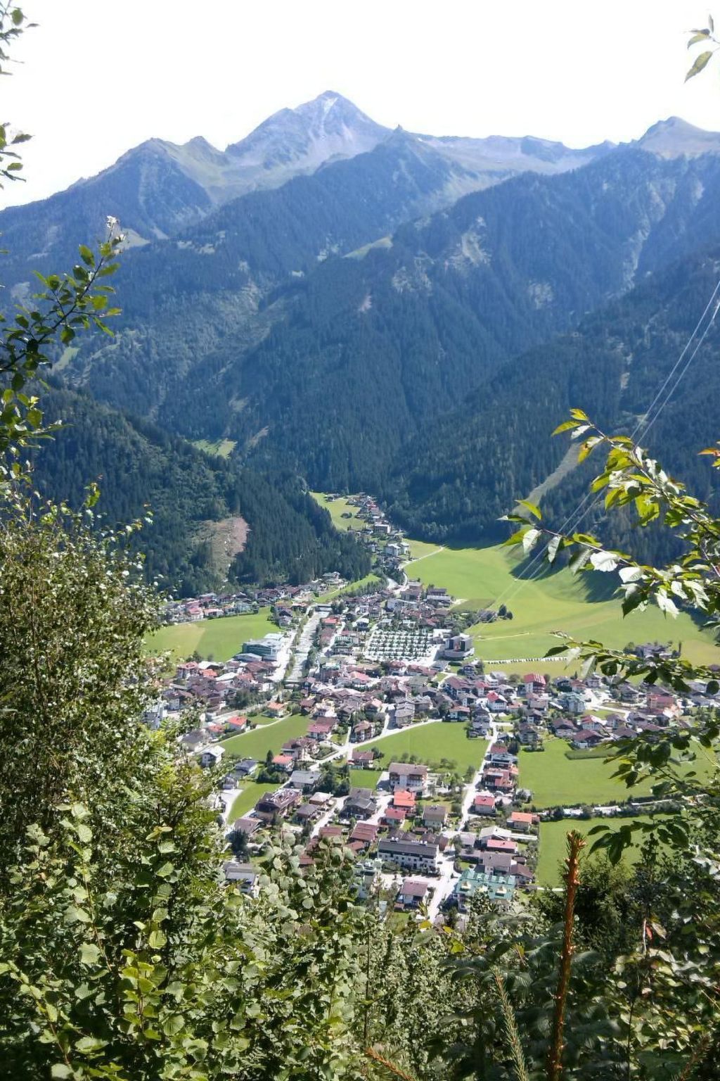Photo of Zuppinger