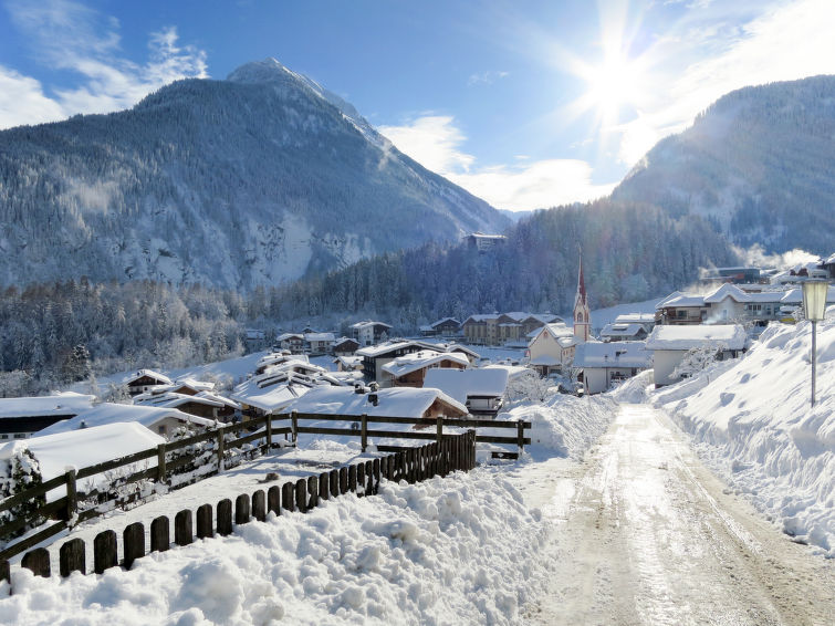 Photo of Edelweiß