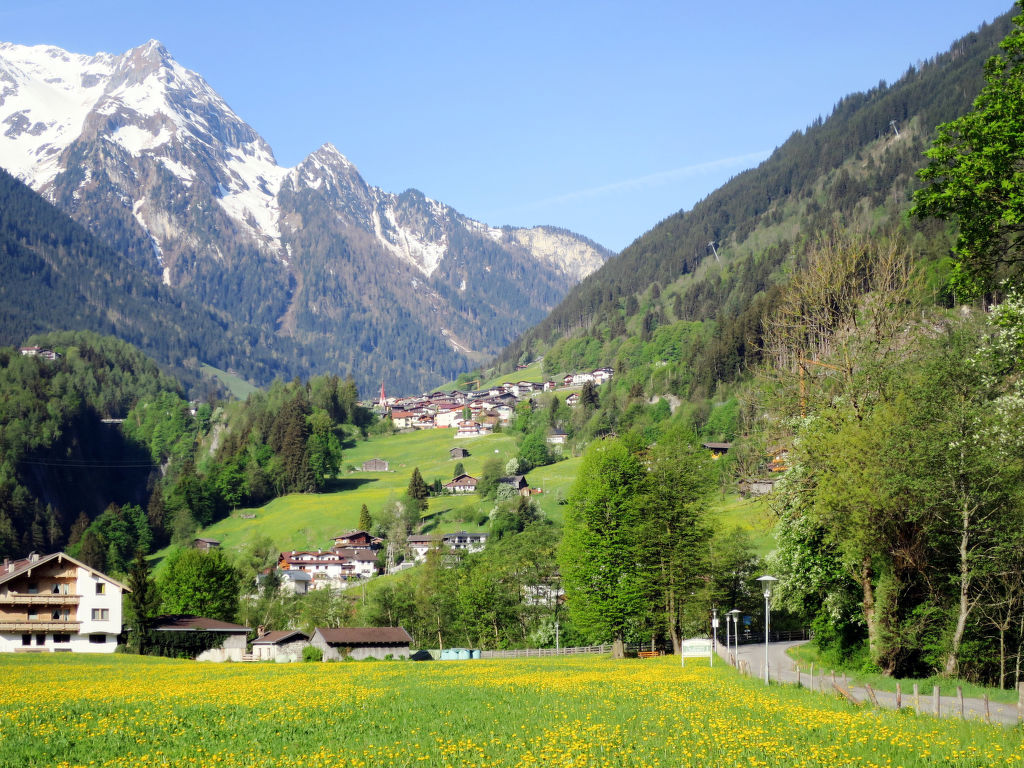 Bild 16