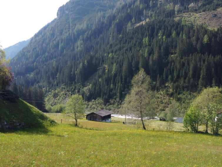 Photo of Wanglblick