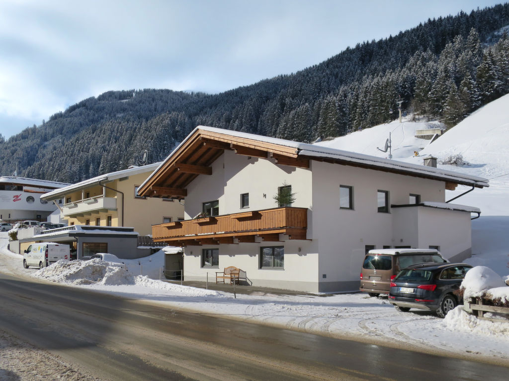 Ferienwohnung Alexander (LNH220) Ferienwohnung  Tirol