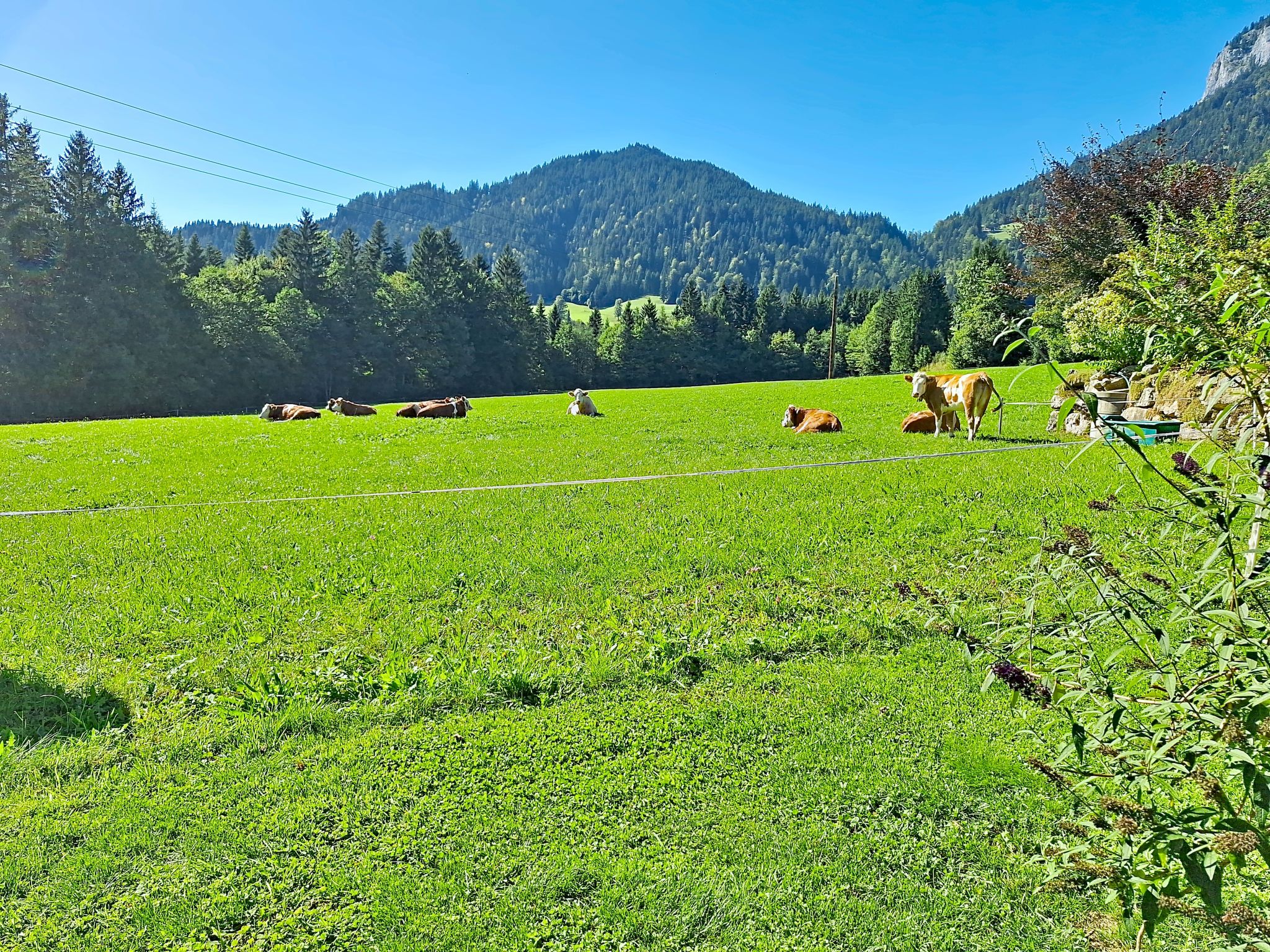 Ferienhaus Lanzinger - Buiten