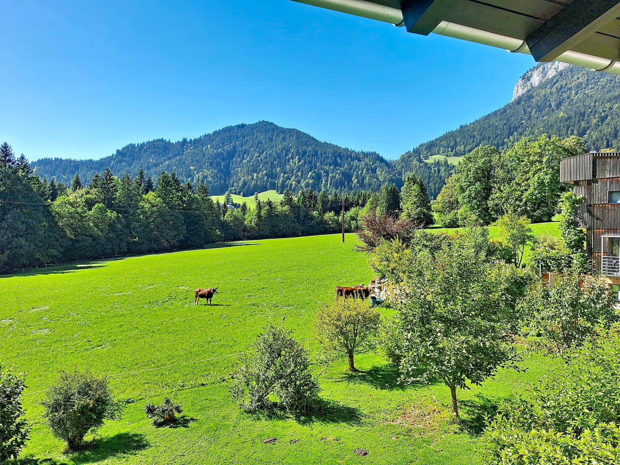 Ferienhaus Lanzinger - Buiten