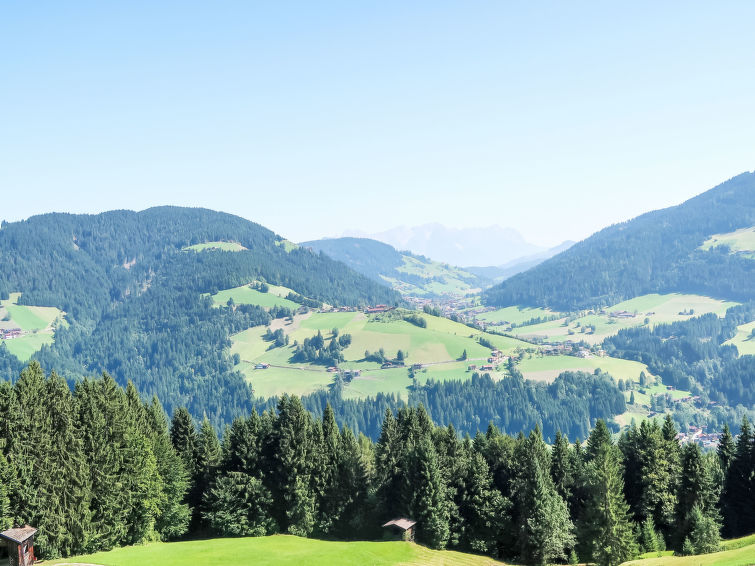 Photo of Berganger (WIL422)