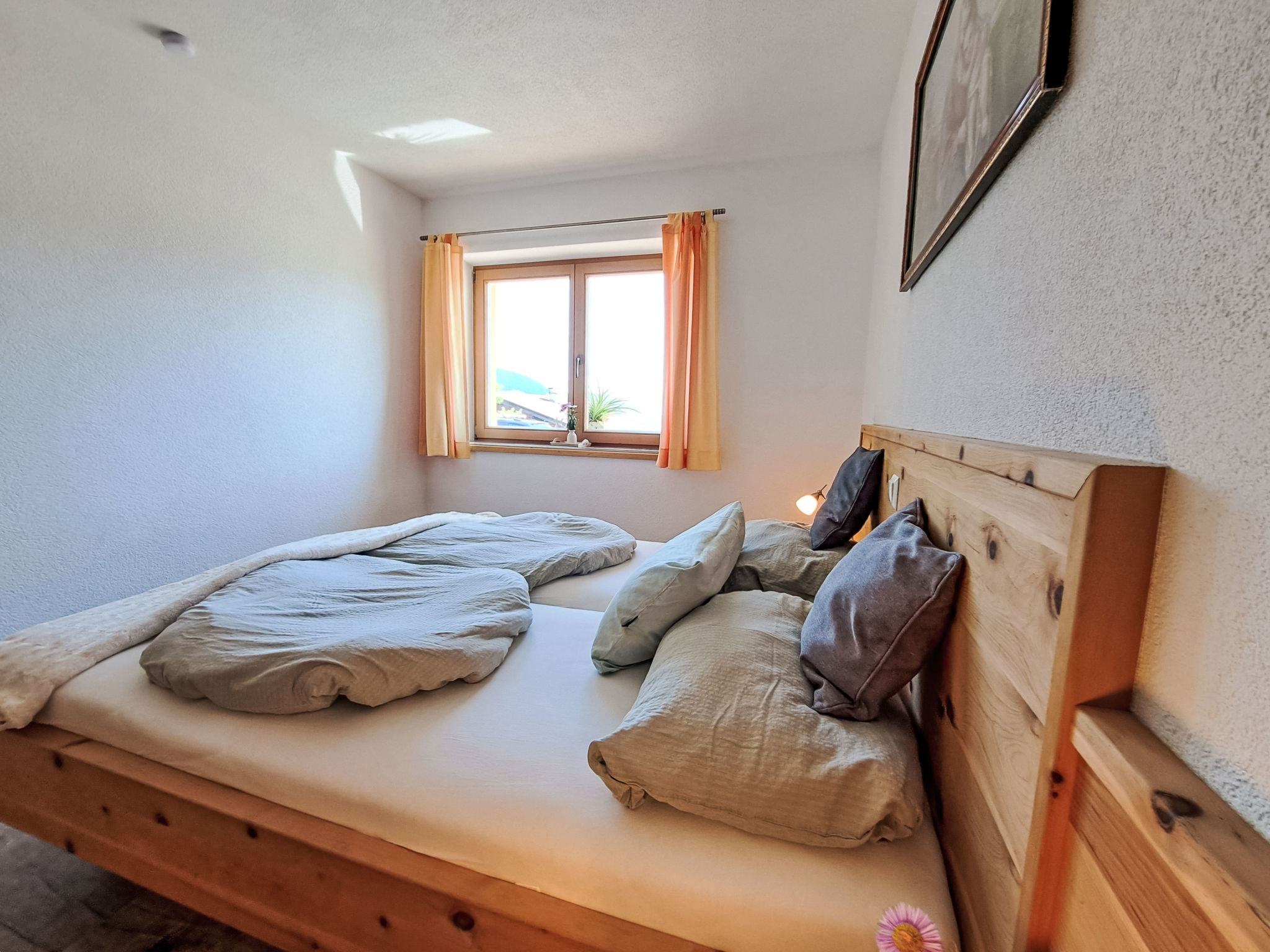 Photo of Berganger (WIL422)