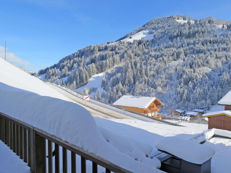 Bergjuwel (WIL551) - Apartment - Ski Juwel Alpbachtal Wildschönau